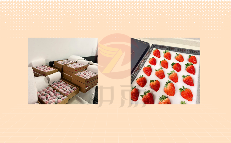 ������Ƭ������ˮ����Ƭ