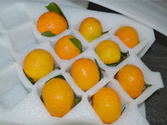 橘子箱包装内托―珍珠棉橘子包装箱内托