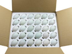 鸭蛋托包装—鸭蛋托珍珠棉包装材料