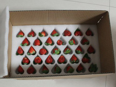 〖珍珠棉草莓包装〗-草莓托包装材料
